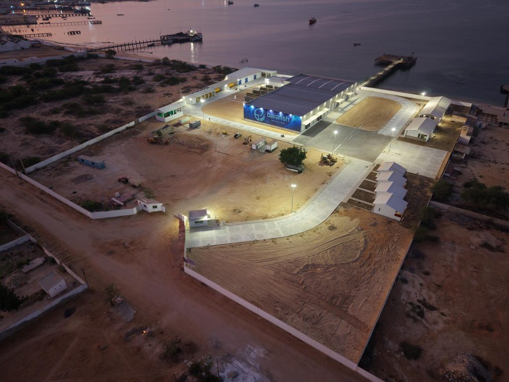 PESCARIA BAIA FISH | Unidade de congelação de pescado | Baía Farta | Angola