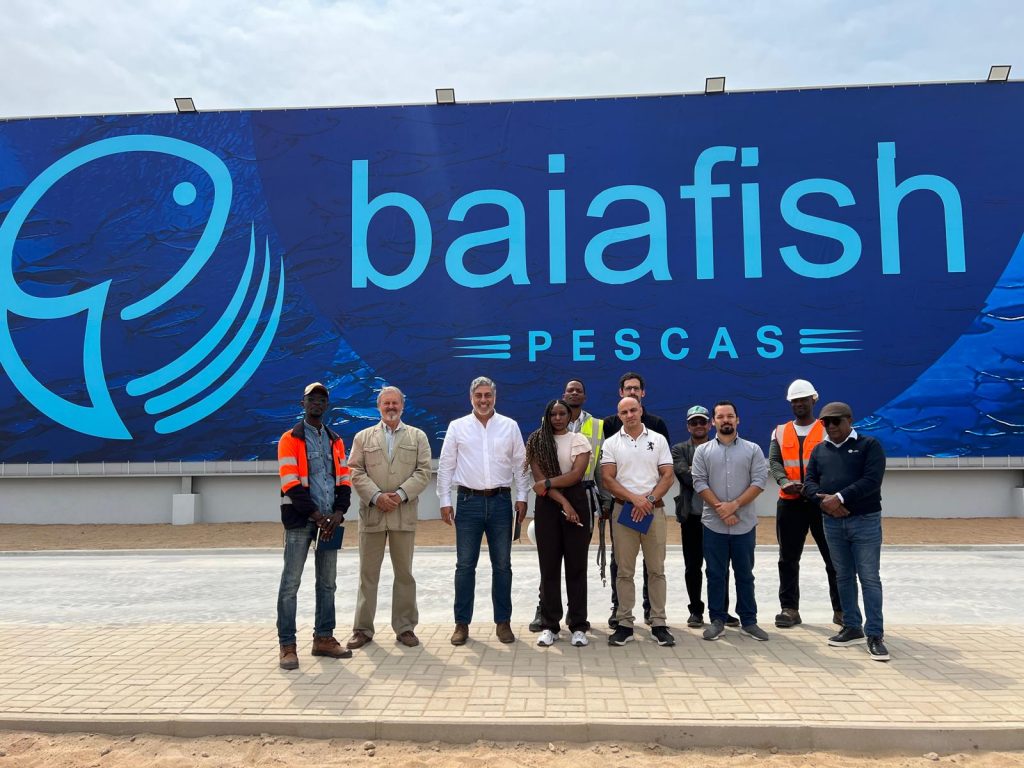 Novanor completes provisional acceptance of the Baía Fish industrial unit